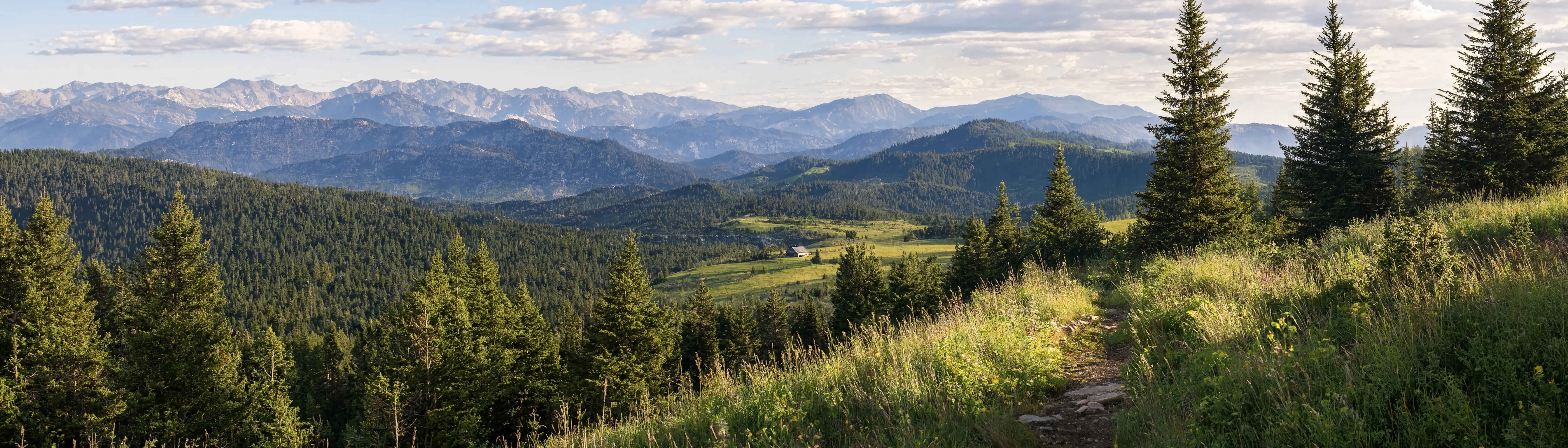 Berglandschaft in Deutschland – weite grüne Täler und bewaldete Hügel